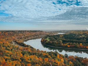 a photo of autumn trees near river under blue sky during daytime