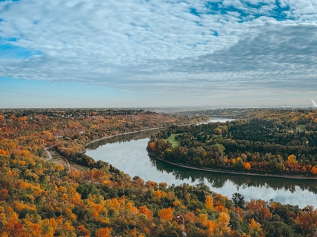 a photo of autumn trees near river under blue sky during daytime