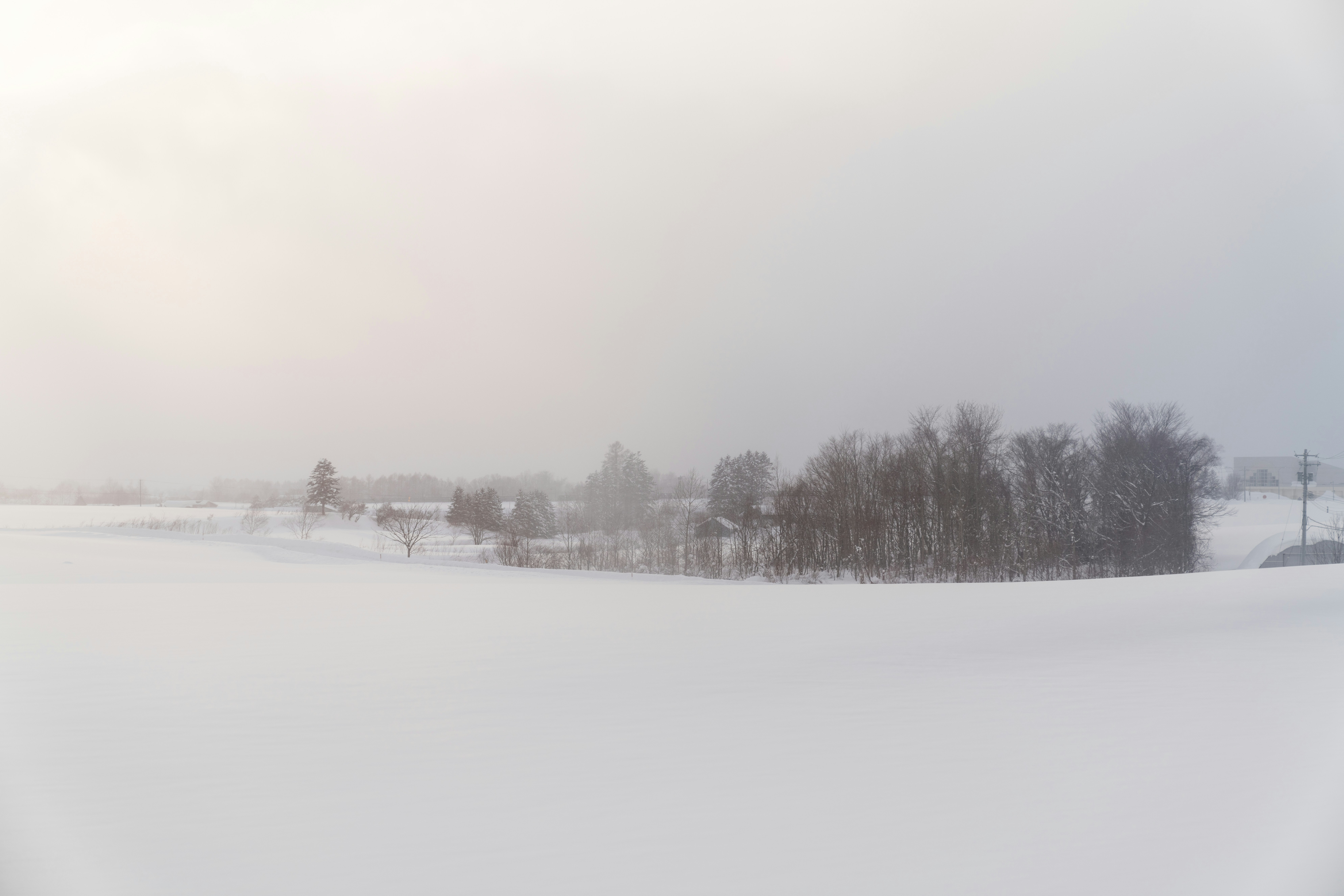 snow covered field and trees during daytime, 