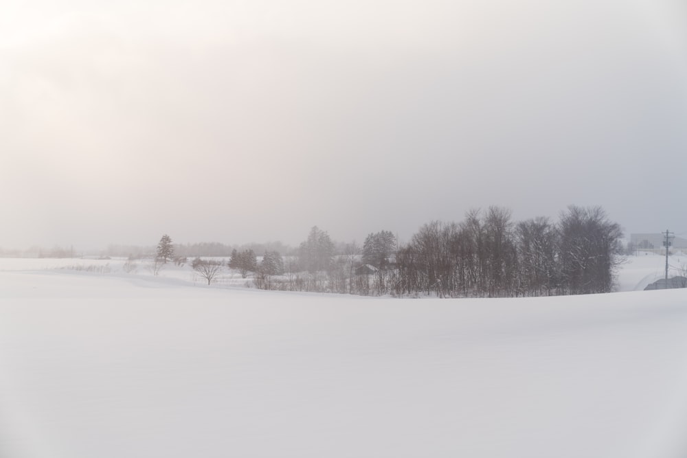 snow covered field and trees during daytime