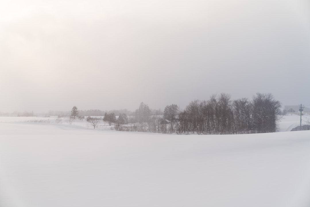 Unearthing Hokkaido's Vibrant Creative Soul - Sapporo's Dynamic Art… — Unearthing Hokkaido's Vibrant Creative Soul