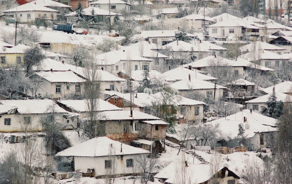 white and brown houses covered with snow during daytime