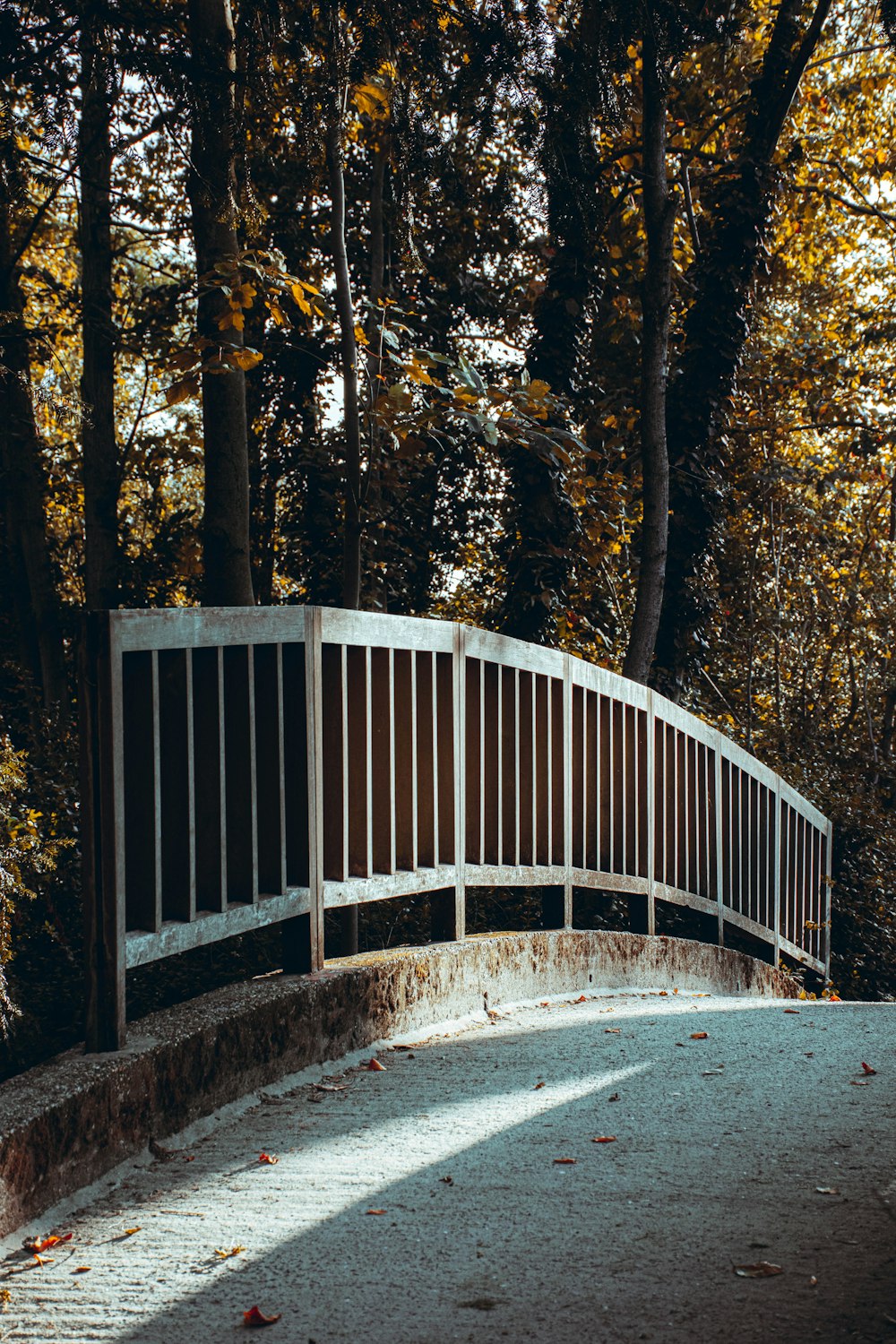 Small Bridge Pictures | Download Free Images on Unsplash