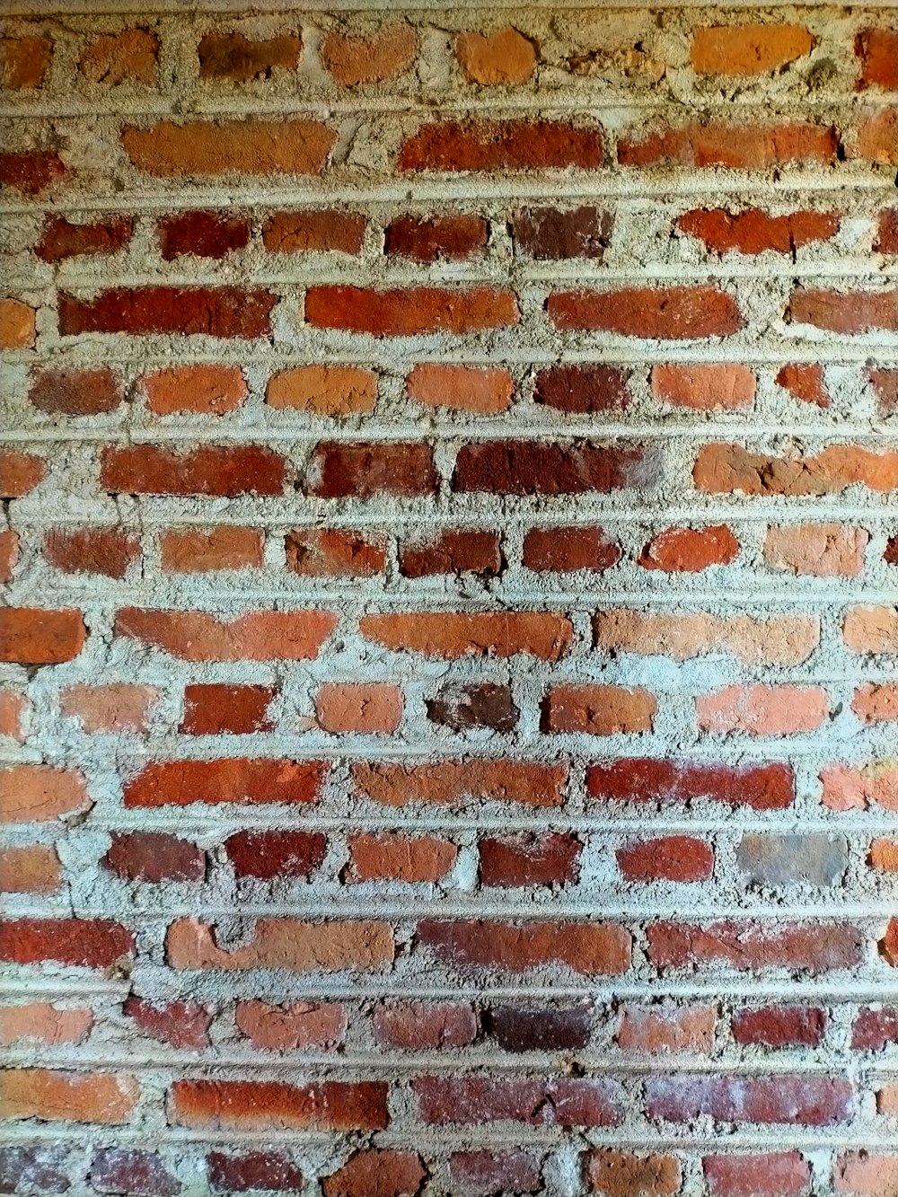 Mur de briques brunes et blanches