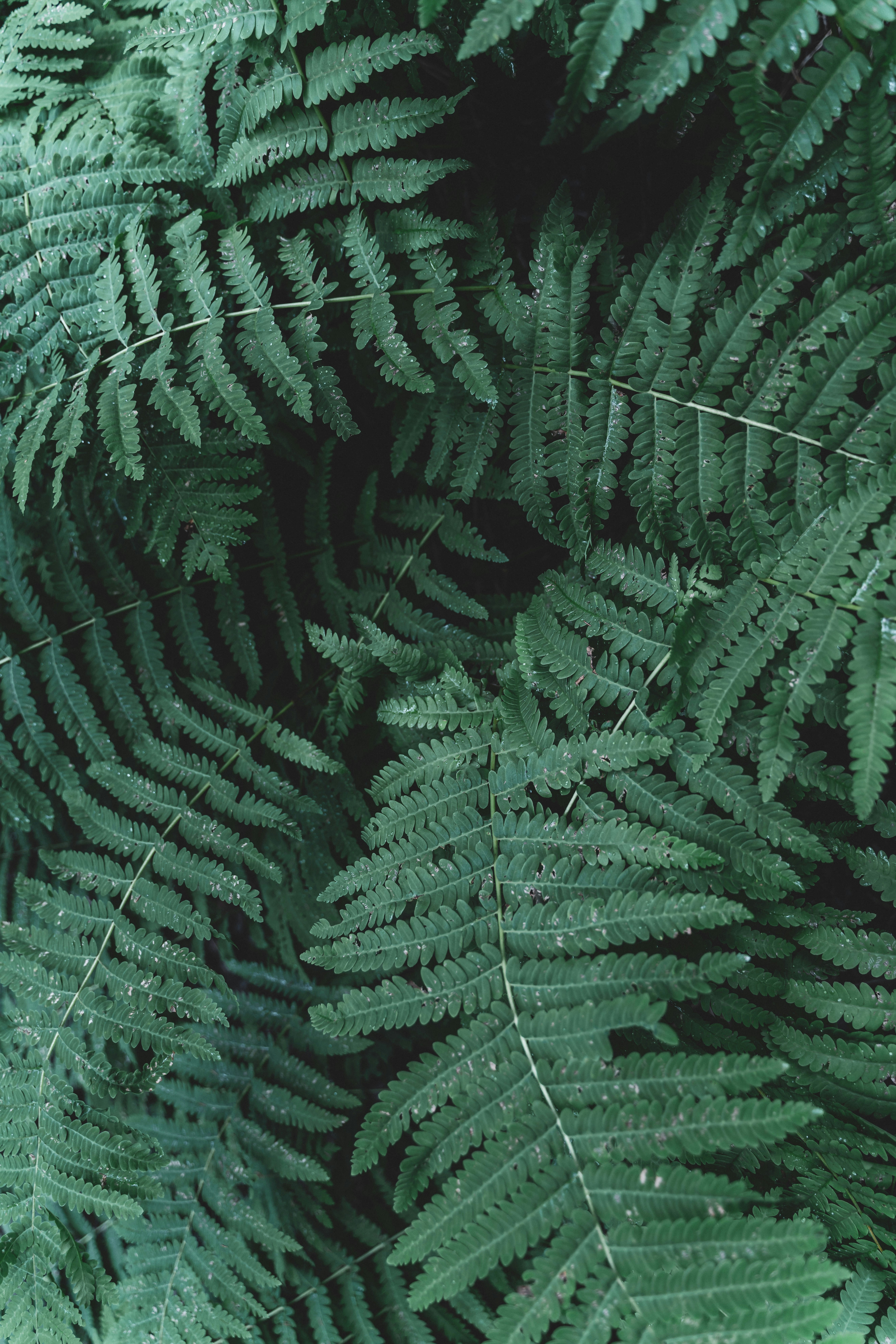 Photo by nickanthony