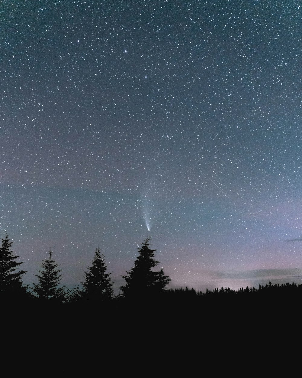 a night sky with stars and trees in the foreground