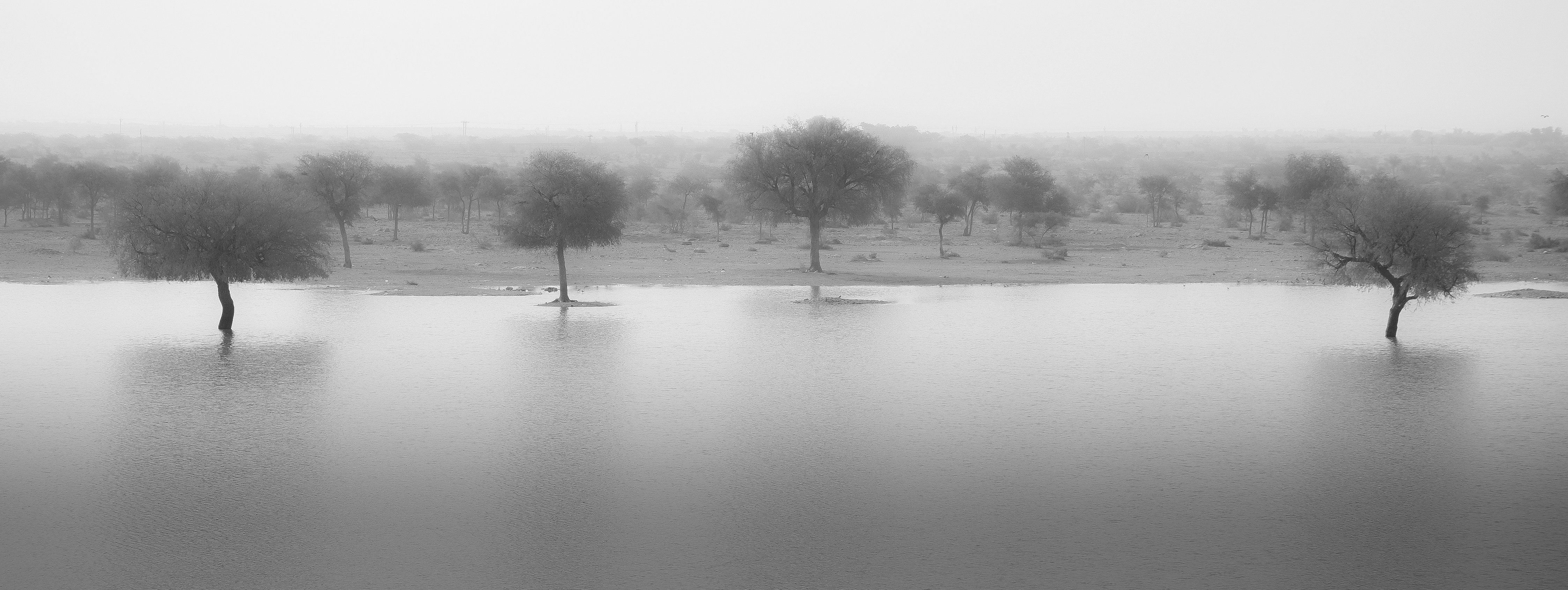 Photo by sergio_capuzzimati