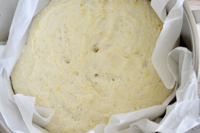 Flemish Yeast Dough