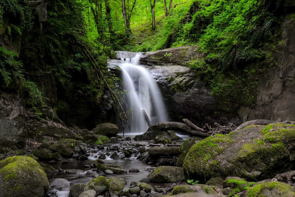 waterfalls in the middle of the forest