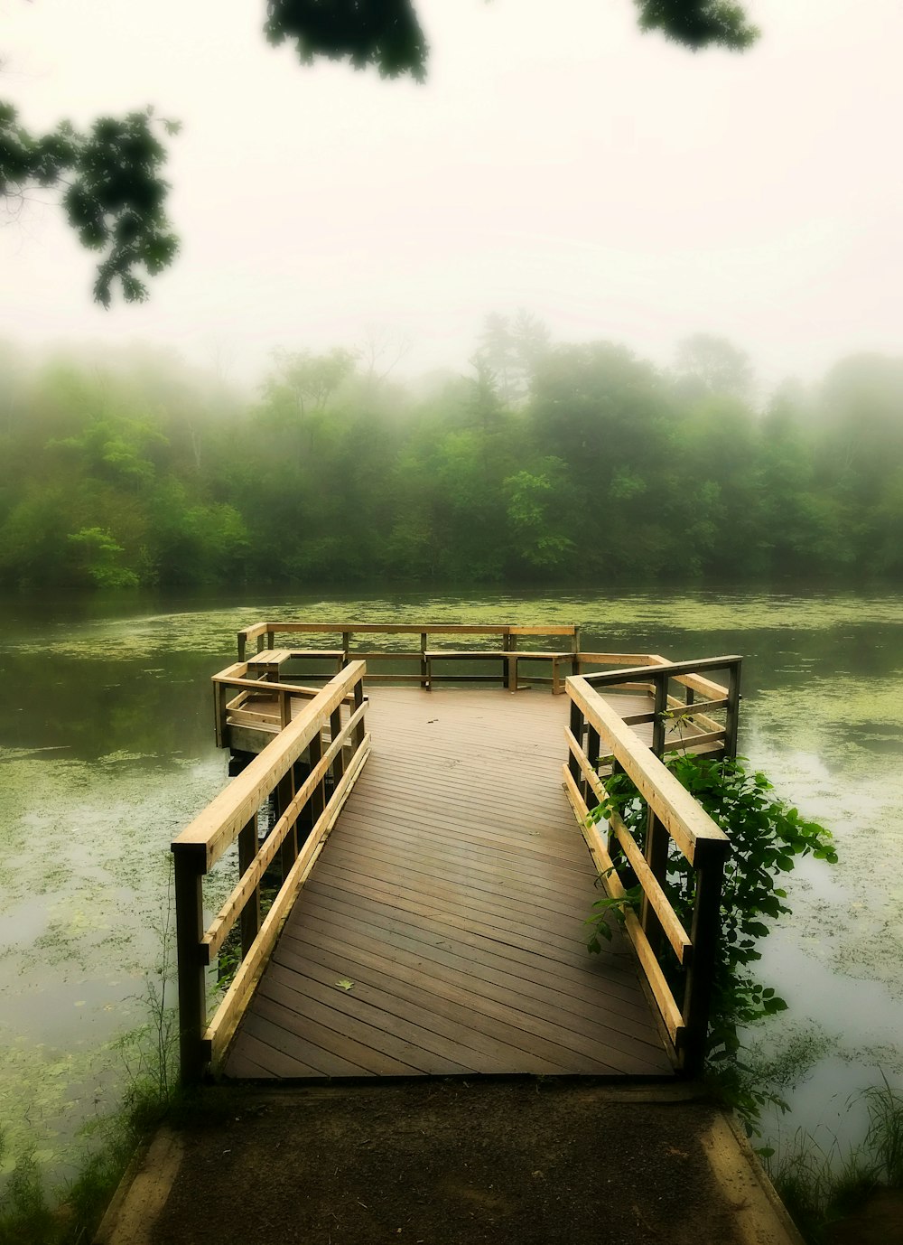 brown wooden dock on lake during daytime photo – Free On Image on Unsplash