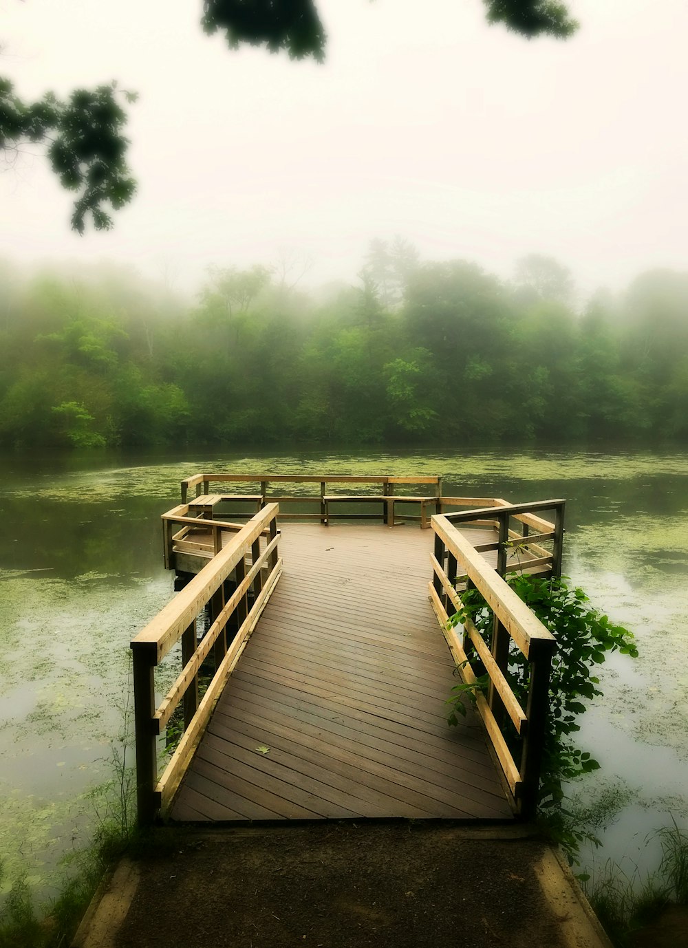 Pontile di legno marrone sul lago durante il giorno