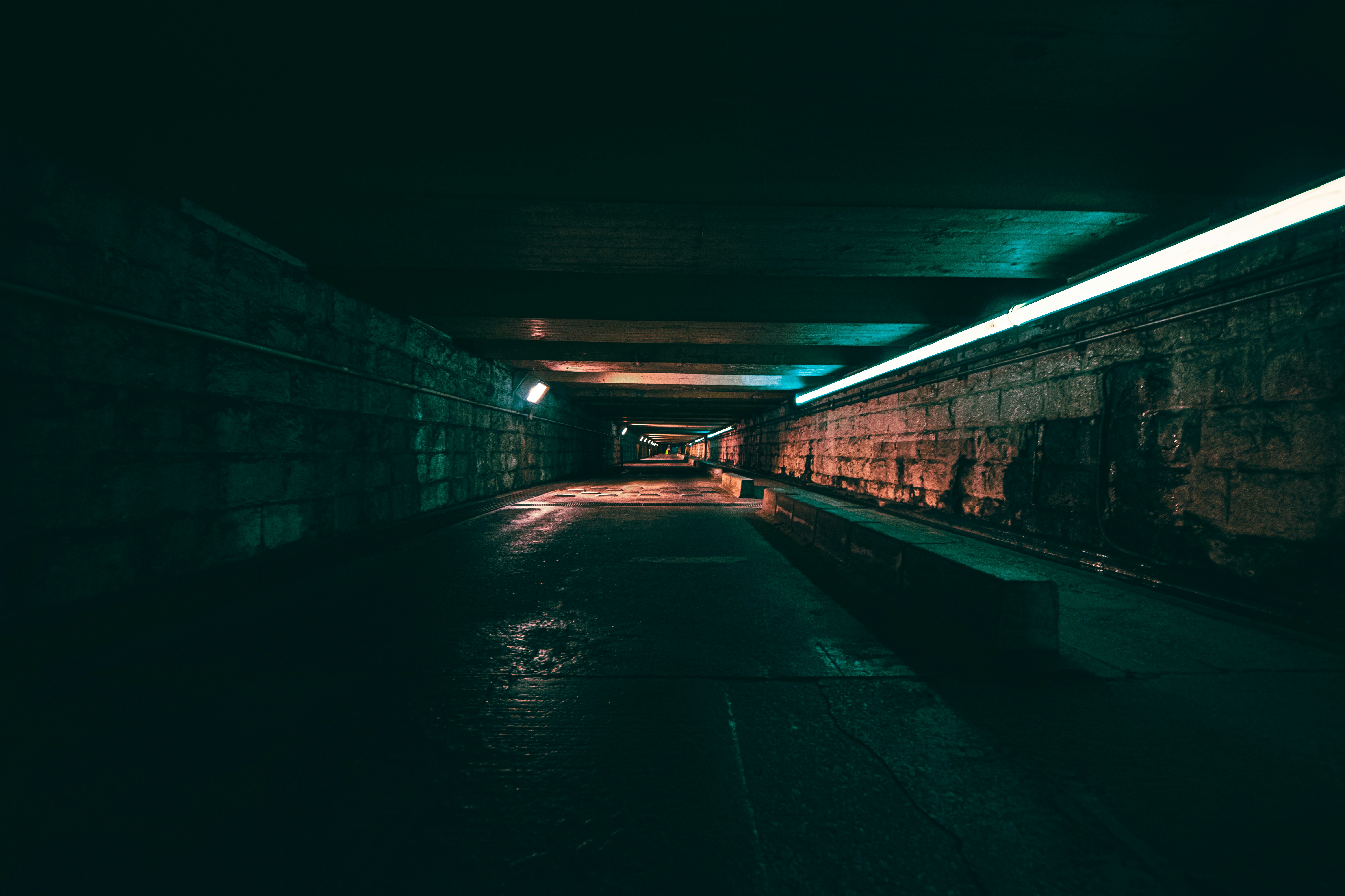 Photo by ryunosuke_kikuno