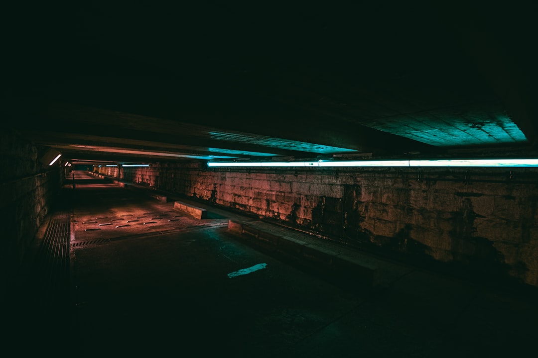 body of water near bridge during night time