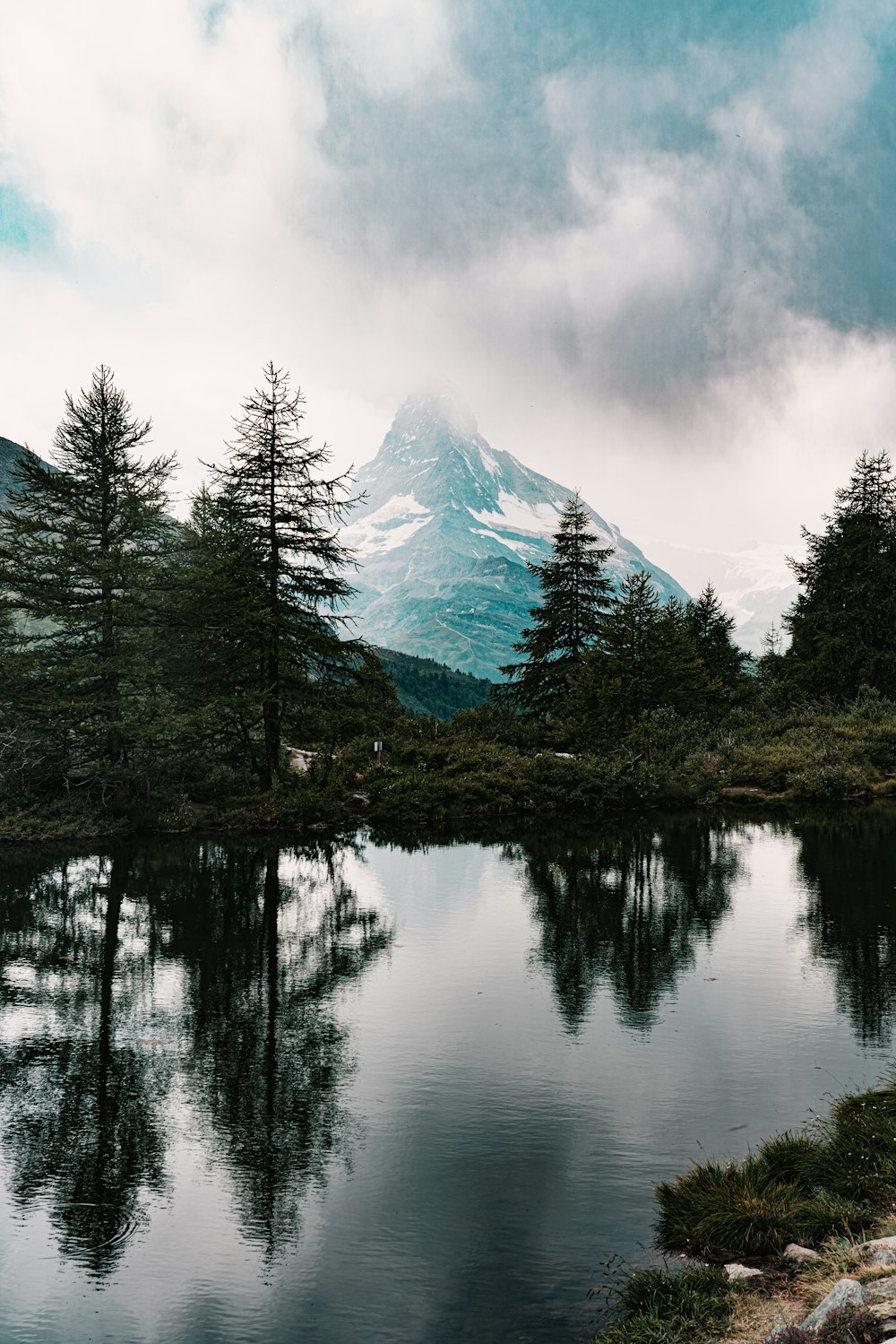 green trees near snow covered mountain during daytime