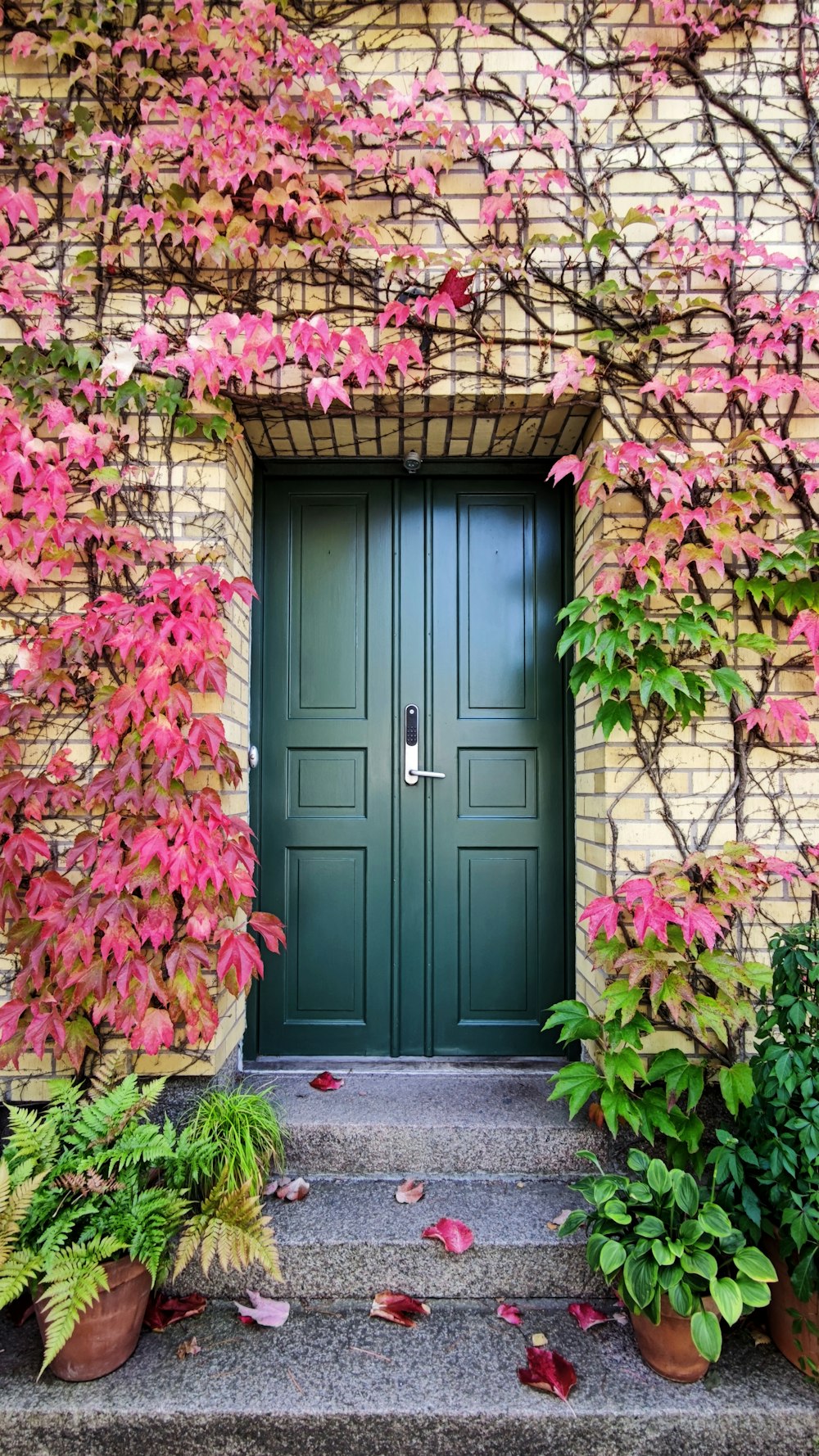 Puerta de madera azul con flores rosadas y rojas