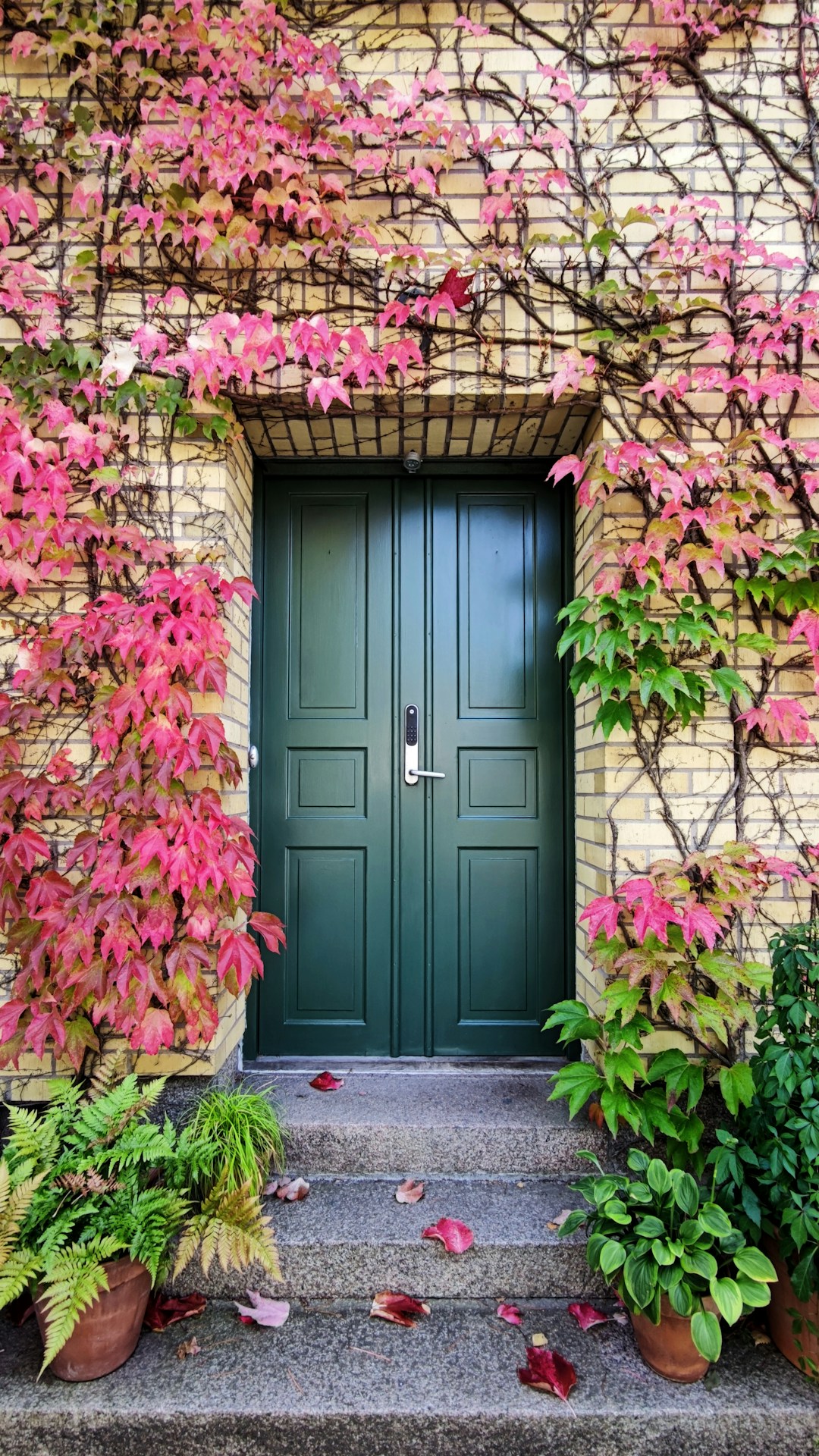 Door Wise Beccles's image