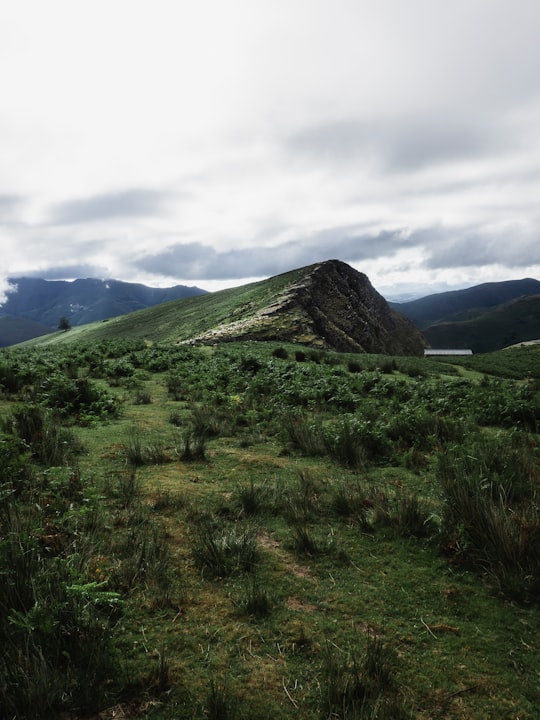 None in Pyrénées-Atlantiques France