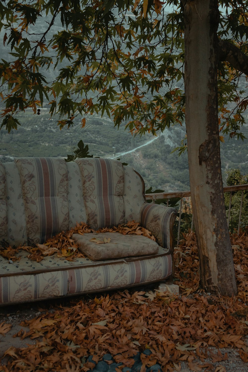 brown and white floral sofa