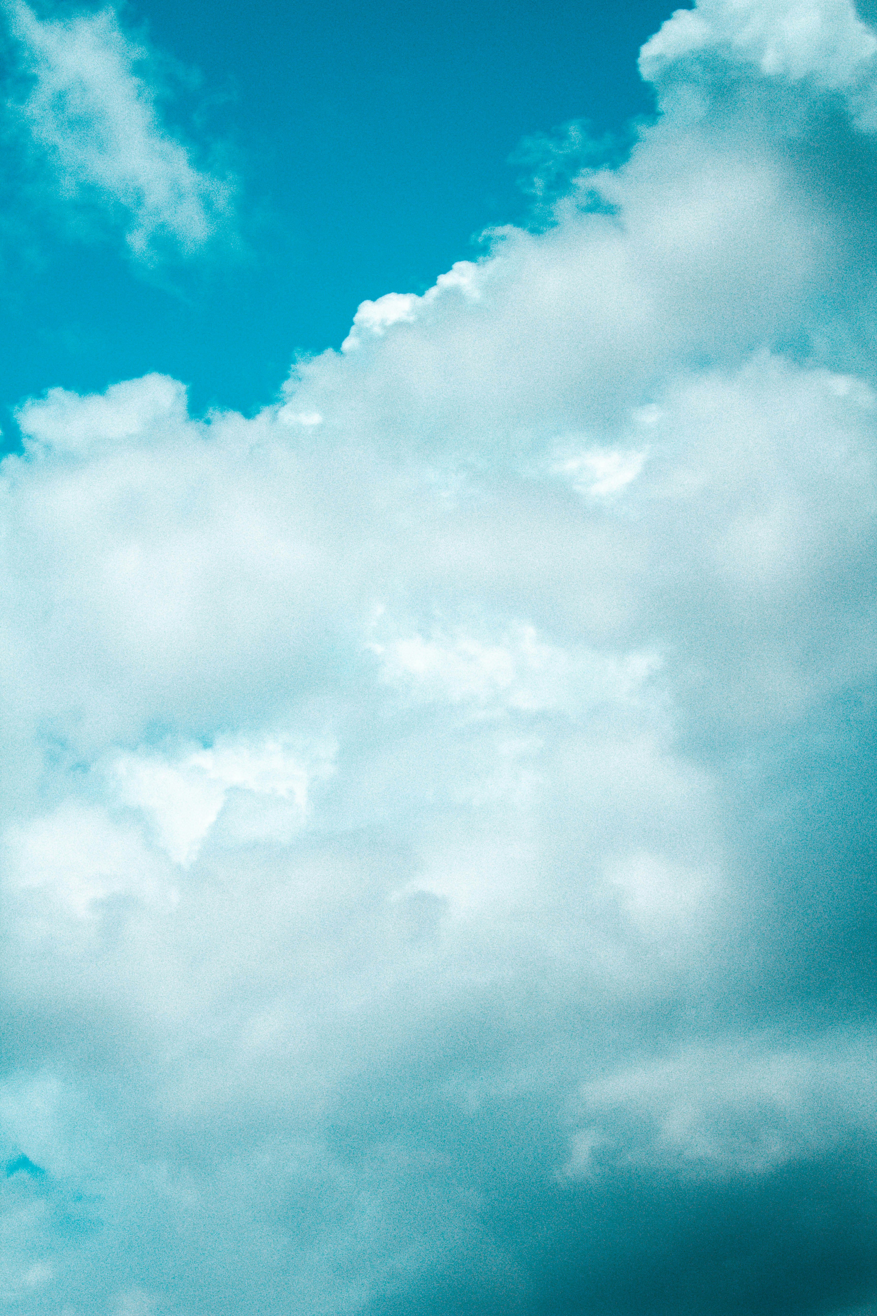 Photo by honeyyanibel