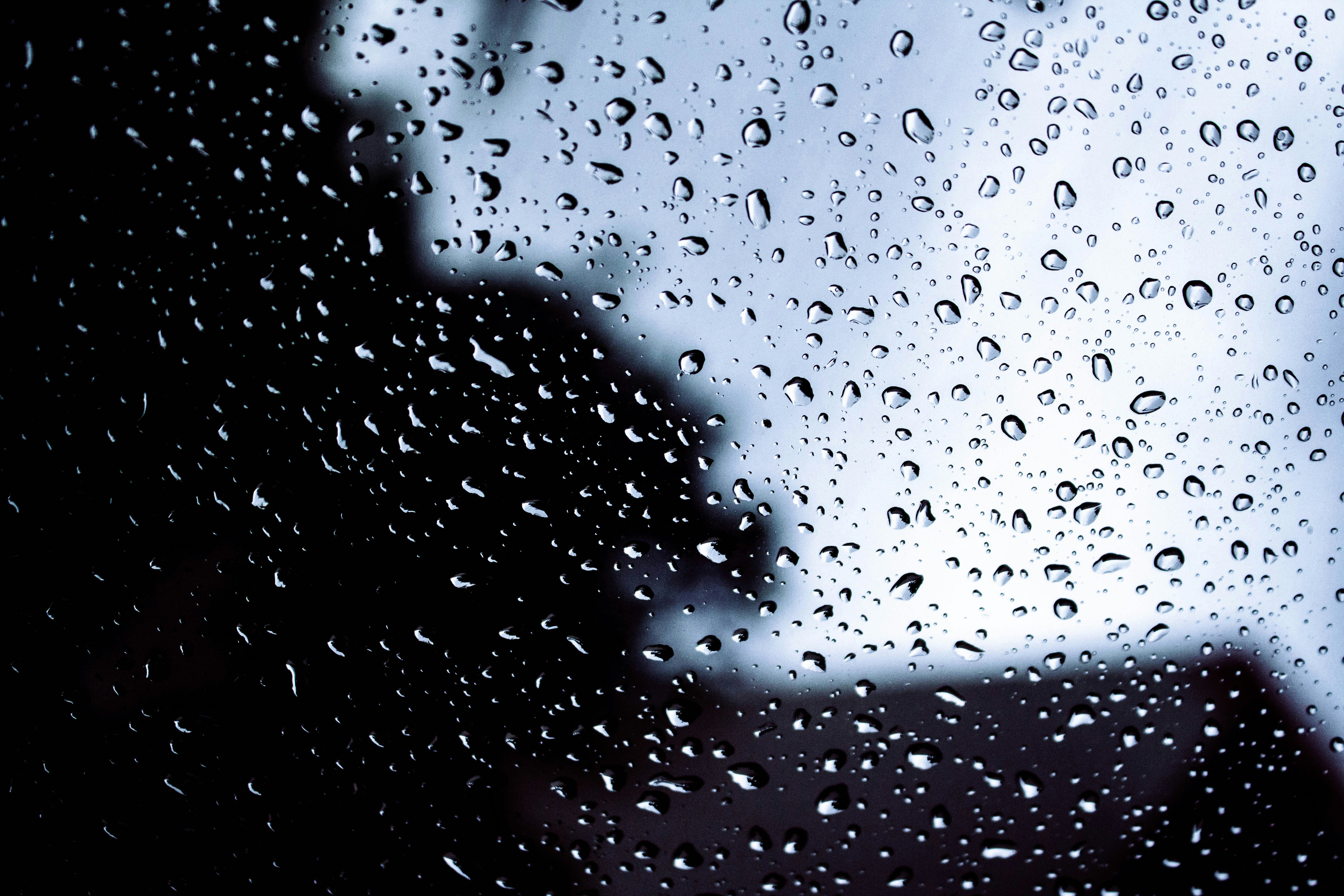 Photo by honeyyanibel