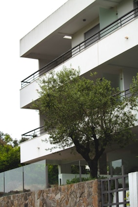 A modern residential building in a leafy neighborhood.