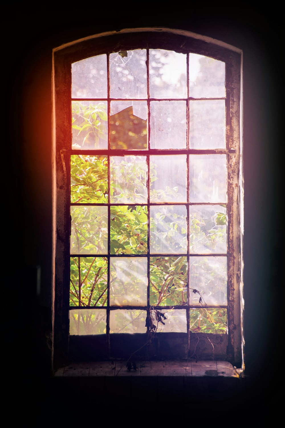 brown wooden framed glass window