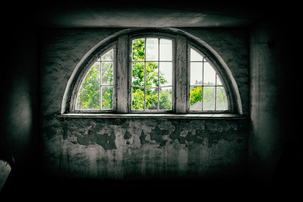 grayscale photo of window with trees