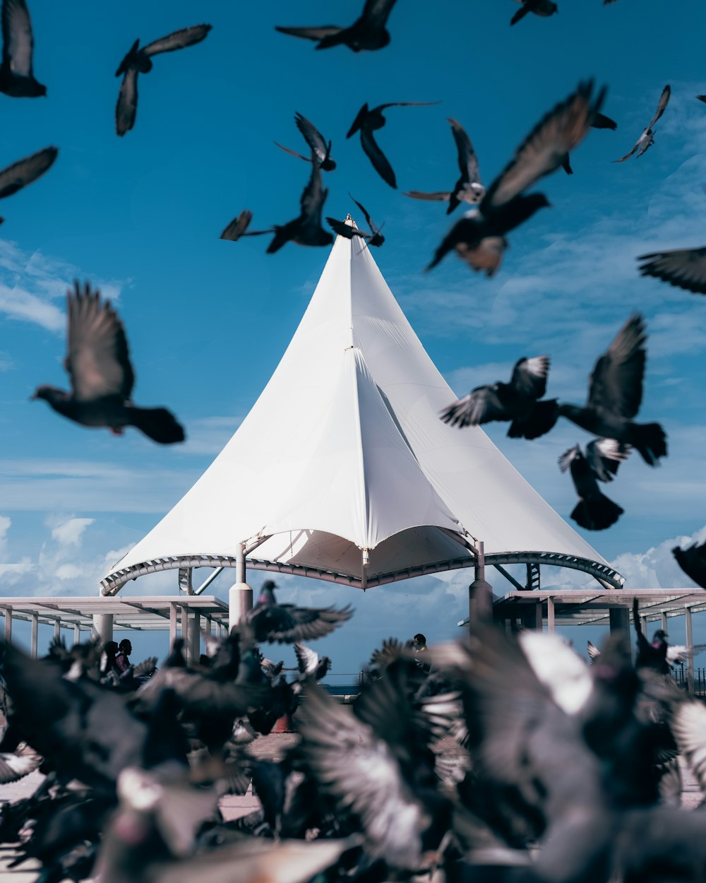 people sitting on white canopy tent during daytime