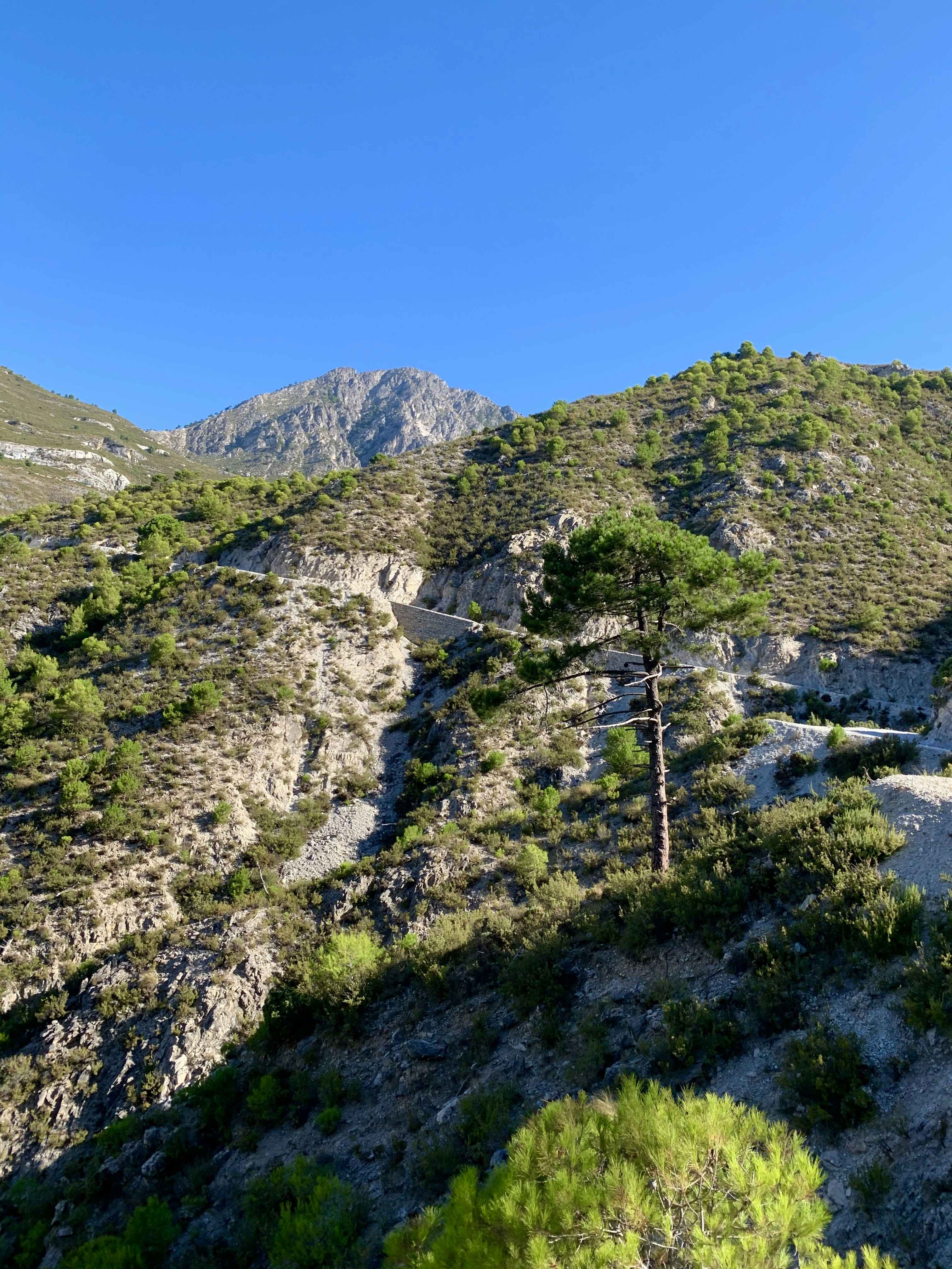 Photo by charlottebus1997