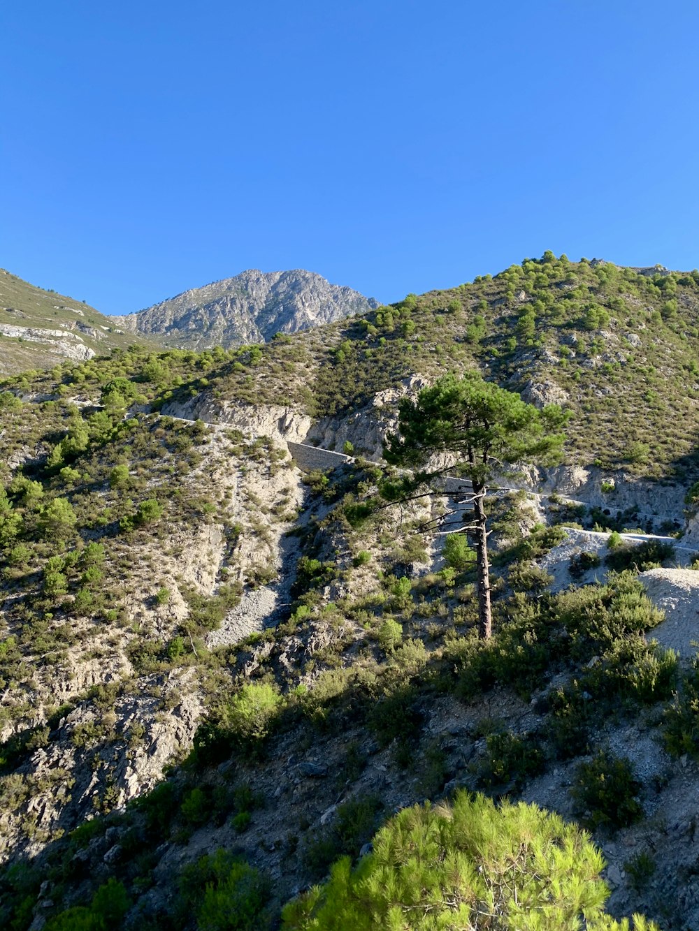 green grass on rocky mountain under blue sky during daytime