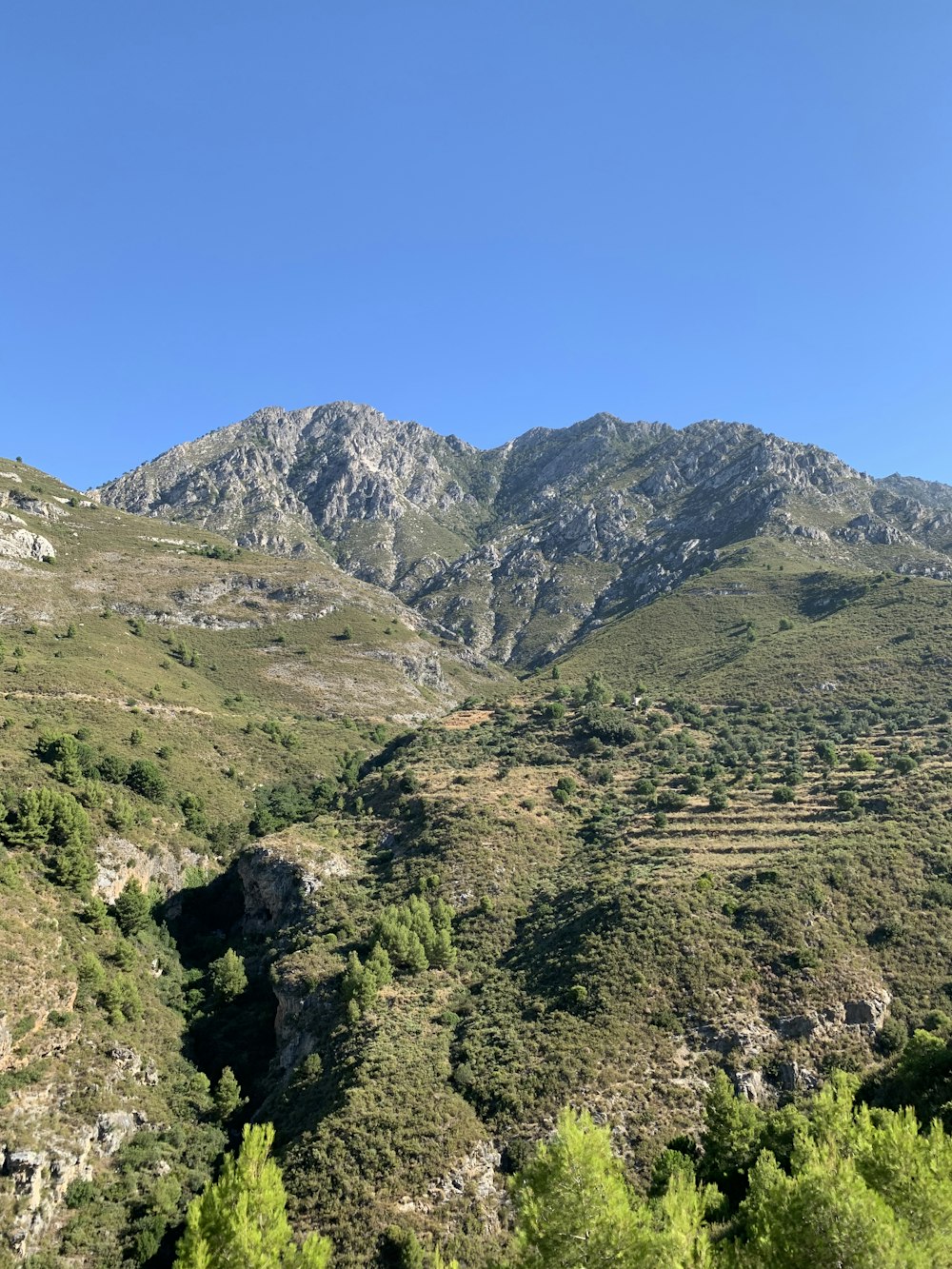 green and brown mountains under blue sky during daytime