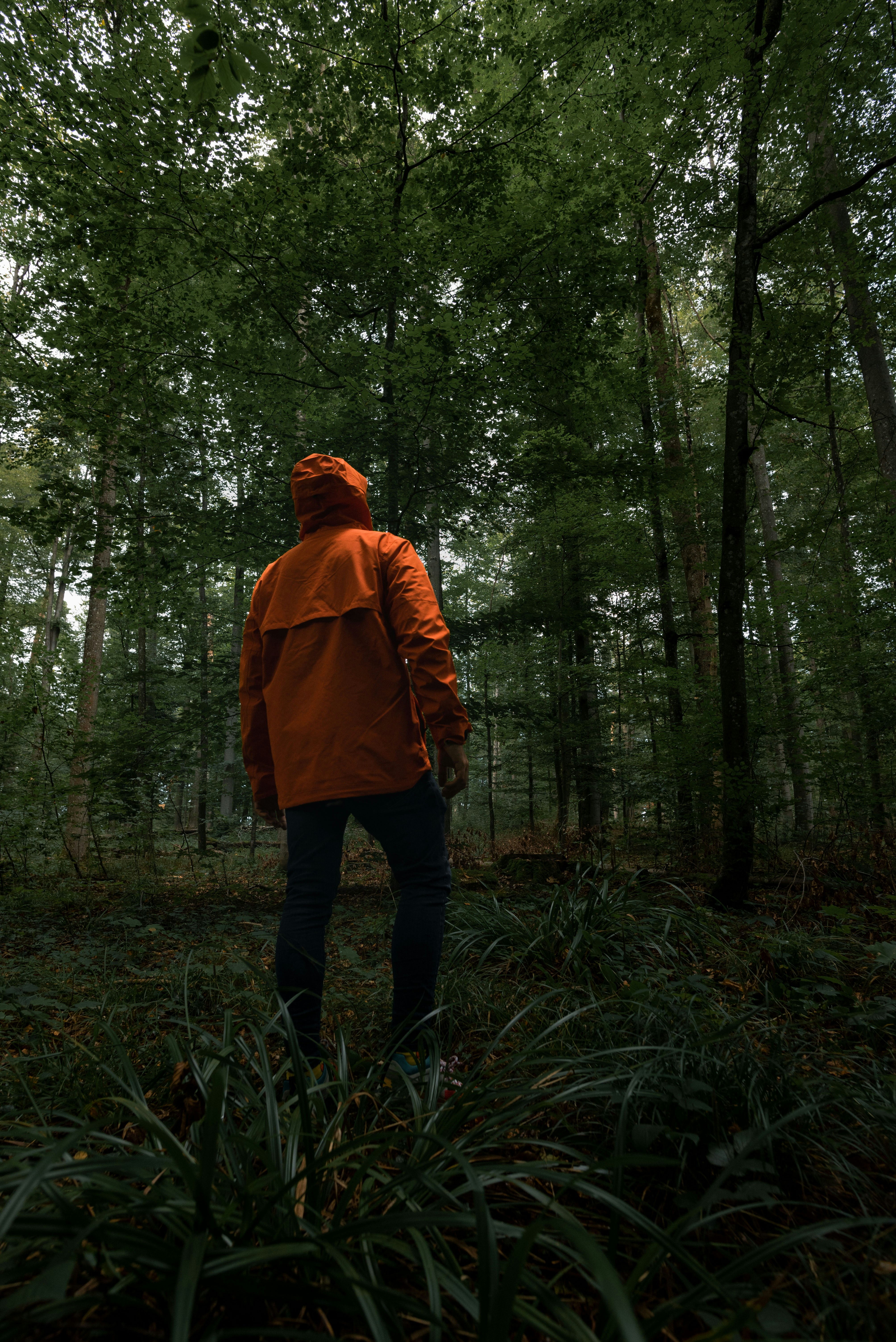 person in brown hoodie standing in forest during daytime