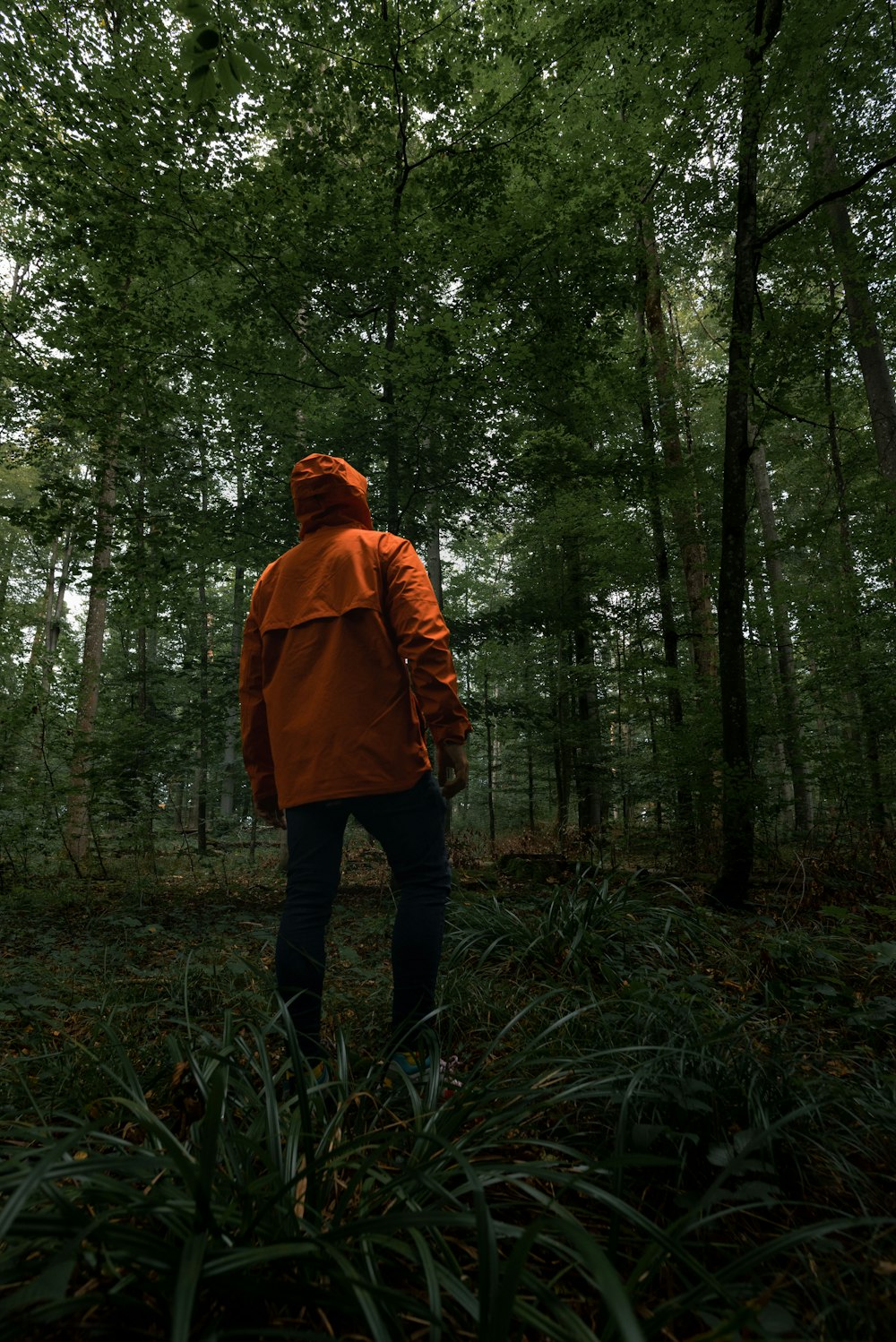 person in brown hoodie standing in forest during daytime