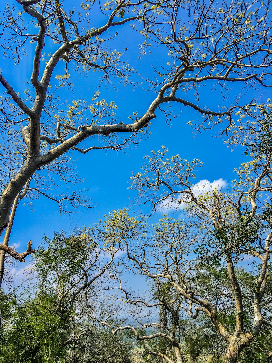 Nature reserve photo spot Theerhamalai R.F. Hogenakkal