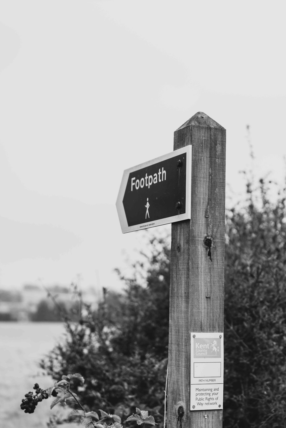 grayscale photo of a wooden signage