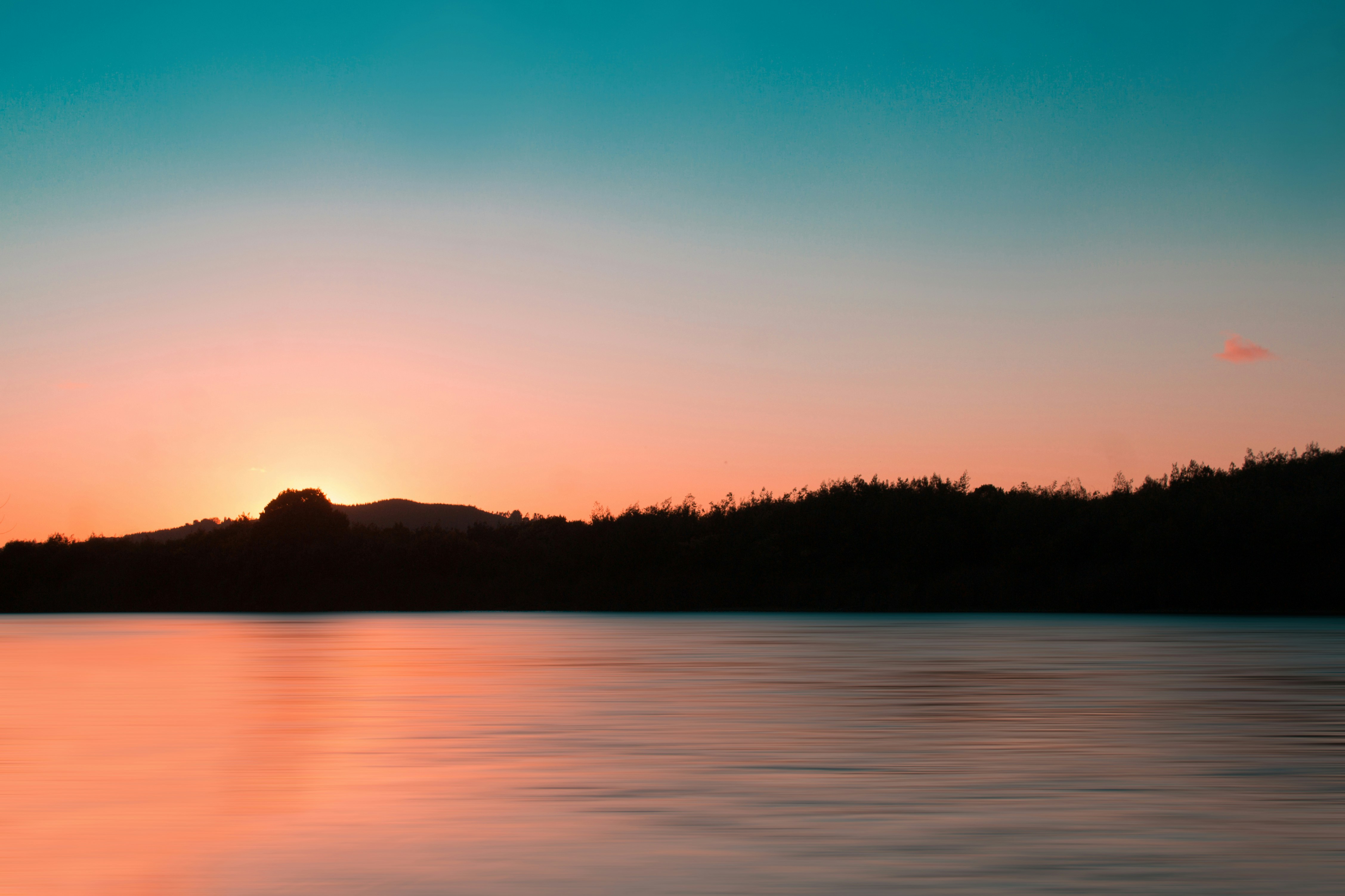 Photo by eliecergallegos