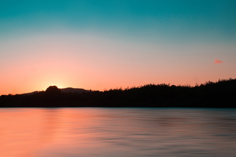 silhouette of trees near body of water during sunset