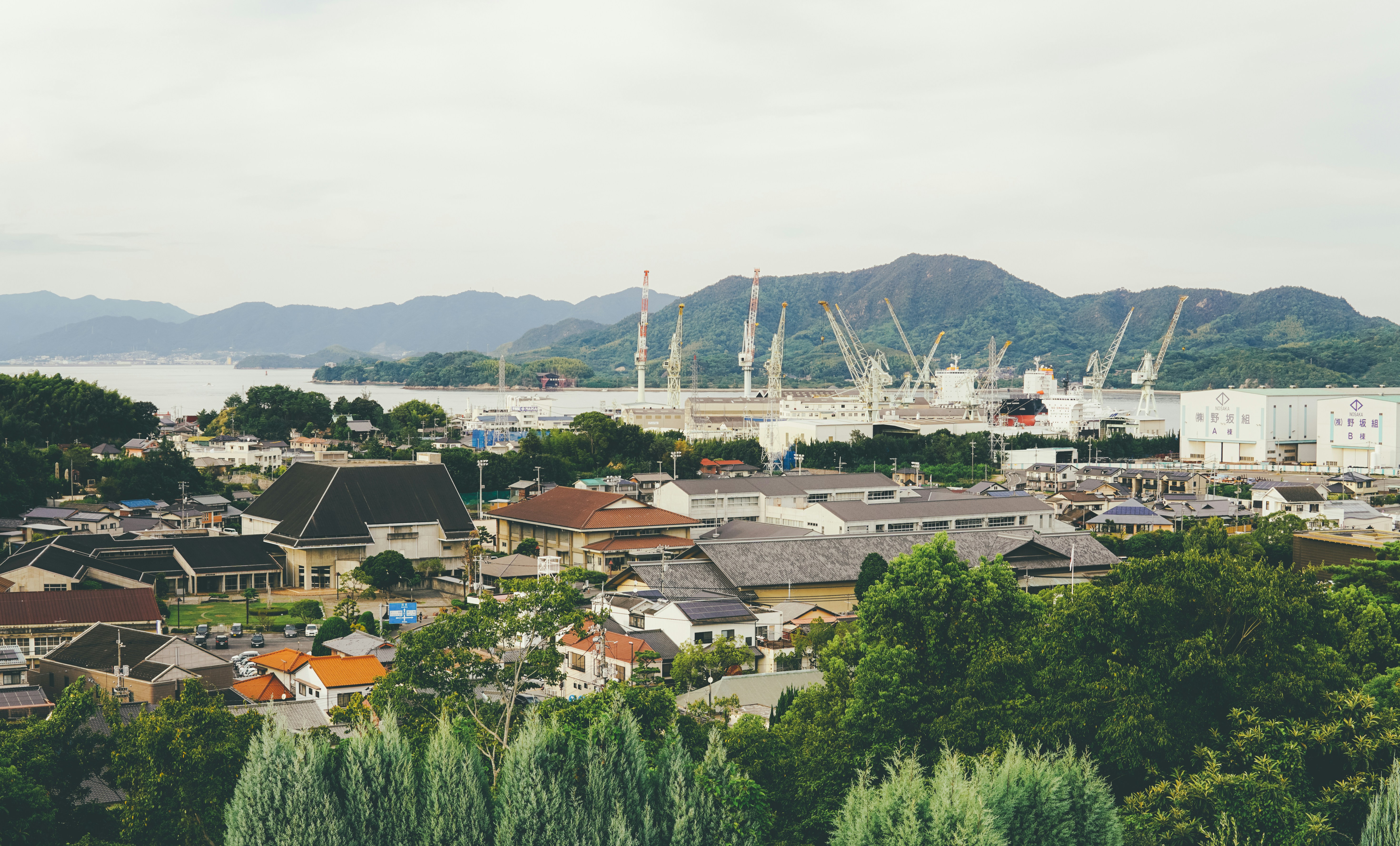 Photo by cosmonaut647