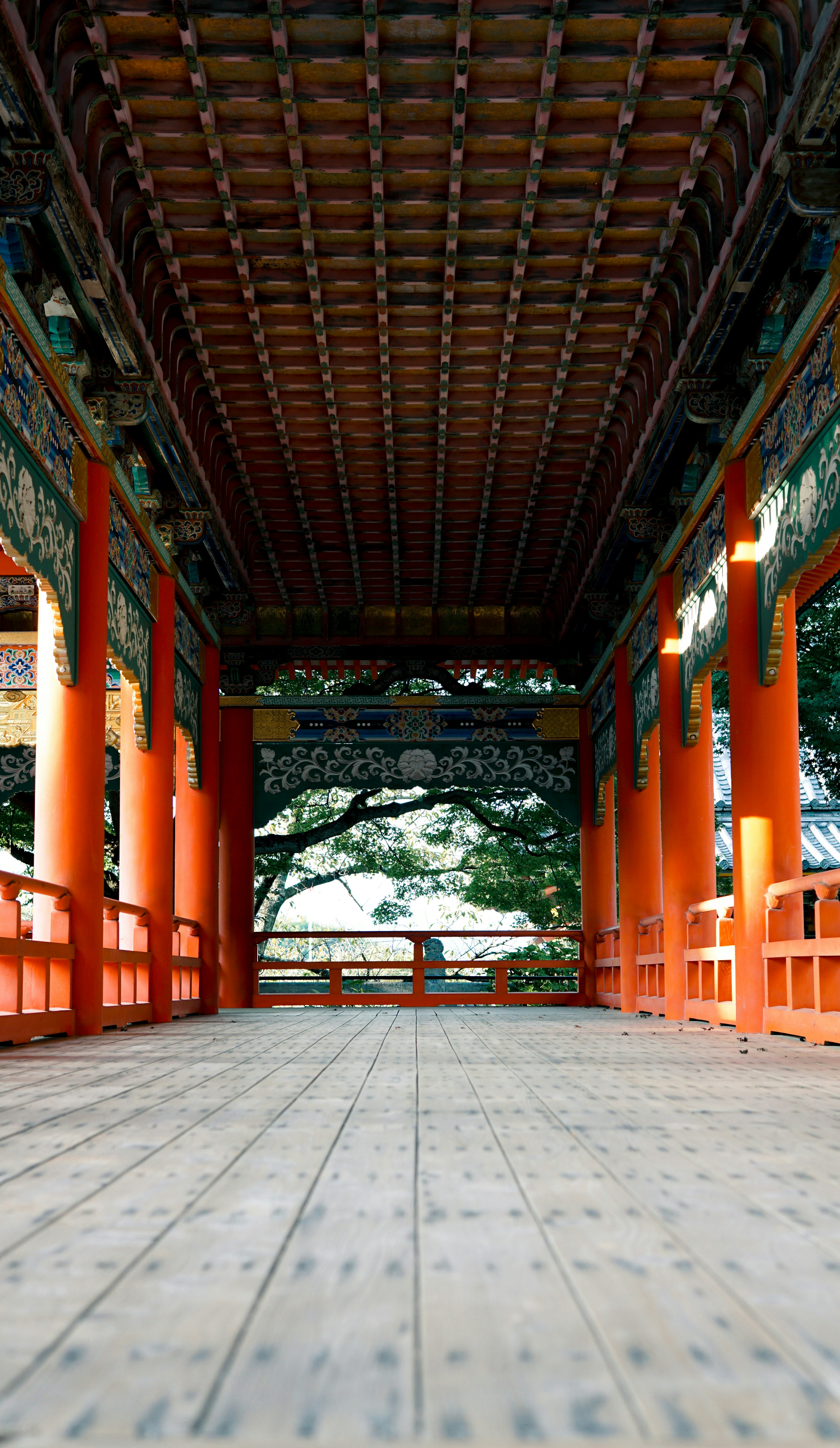 Photo by cosmonaut647