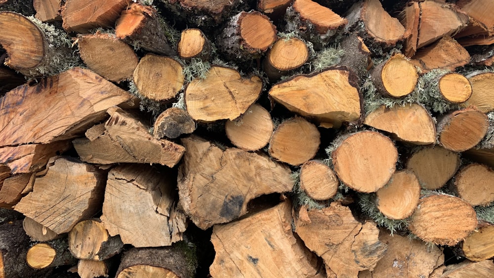 brown and black wood logs