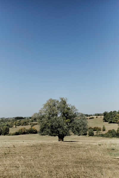 picture of Outdoor Activities in Blanchefosse-et-Bay, France