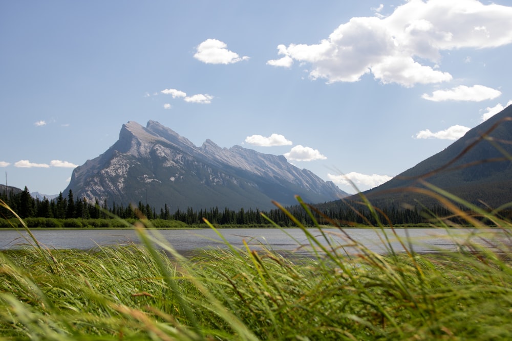 green grass field near lake and mountain under white clouds and blue sky during daytime