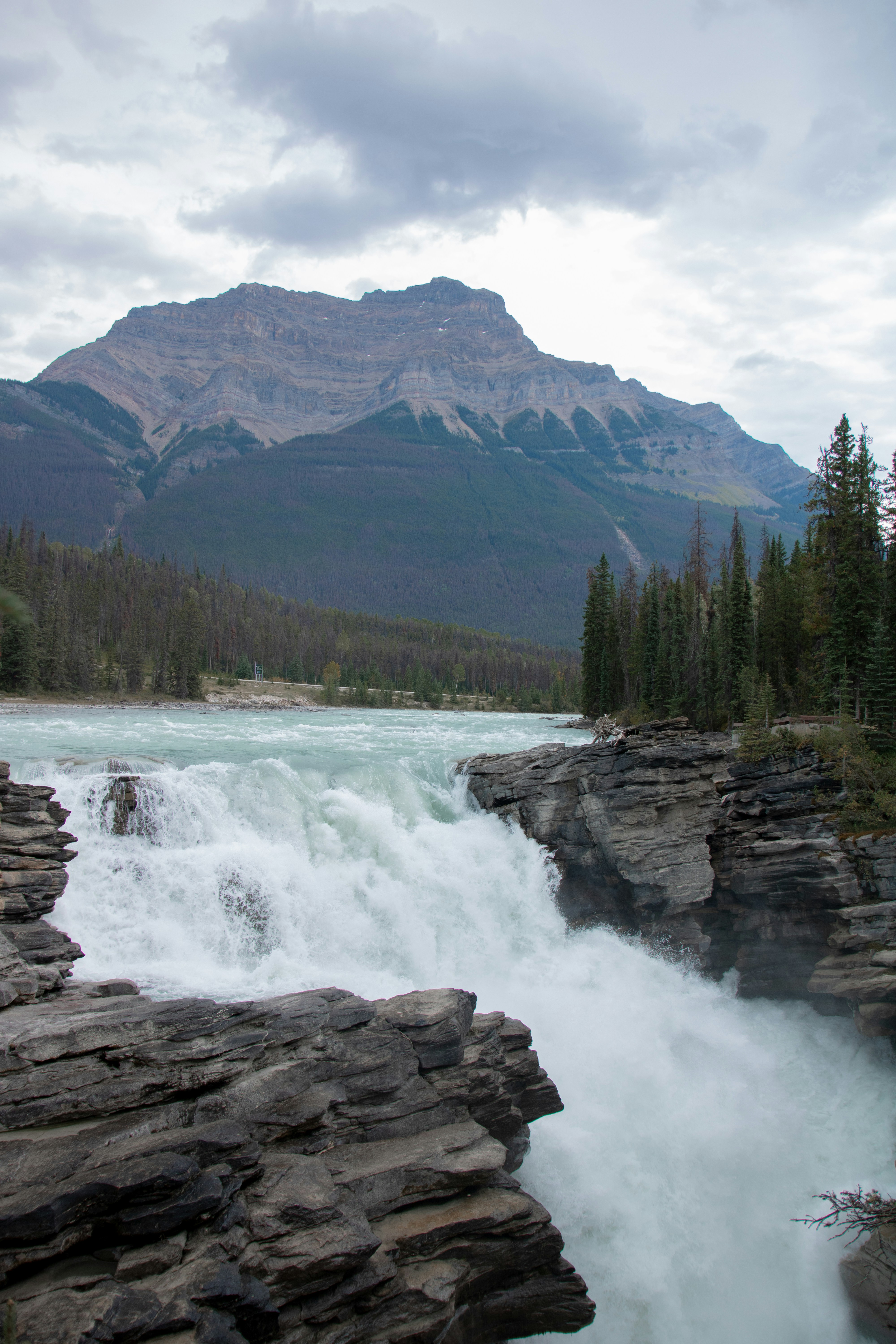 Photo by s8n3d8gb2js0a3w4