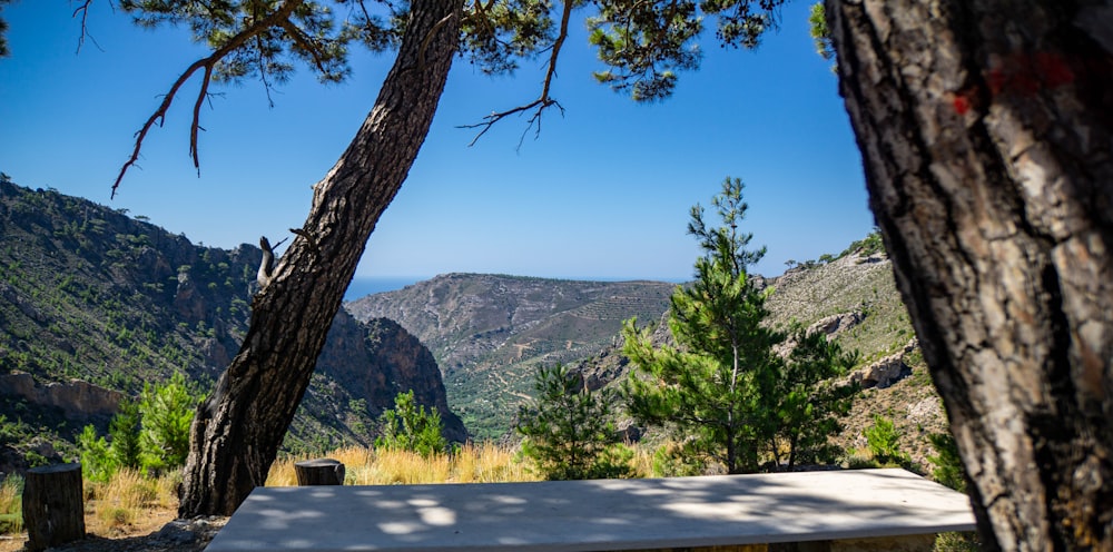 green trees near mountain under blue sky during daytime