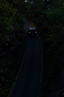 A dark, narrow road winding through a heavily wooded area with a vehicle driving along it. The surrounding foliage is dense and shadowy, creating a moody atmosphere.