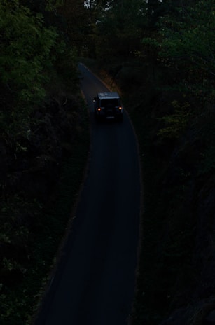 A dark, narrow road winding through a heavily wooded area with a vehicle driving along it. The surrounding foliage is dense and shadowy, creating a moody atmosphere.