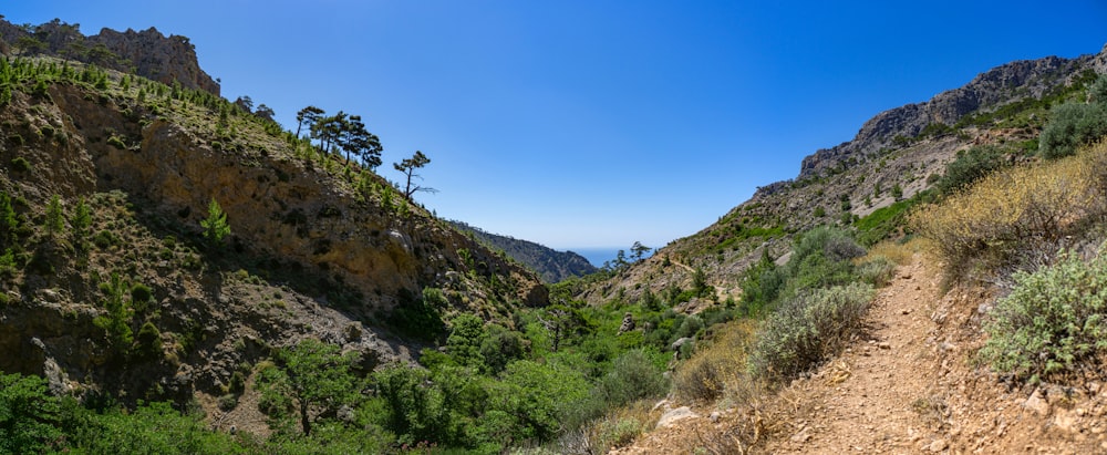 green trees on mountain under blue sky during daytime