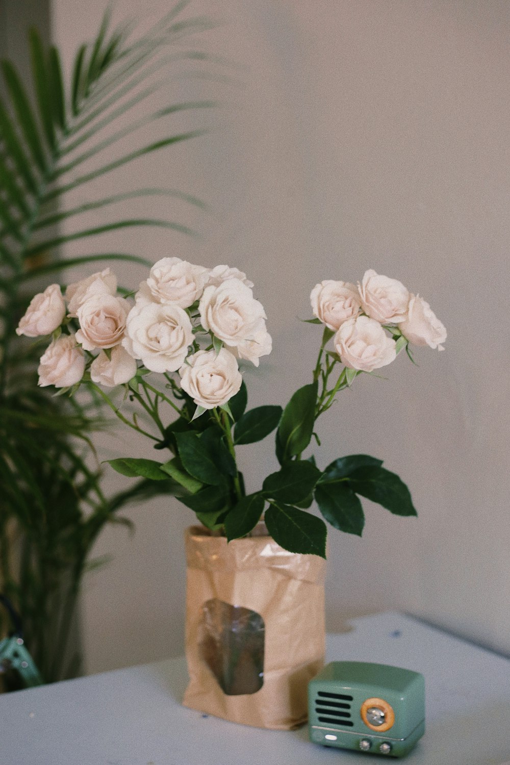 white roses in clear glass vase