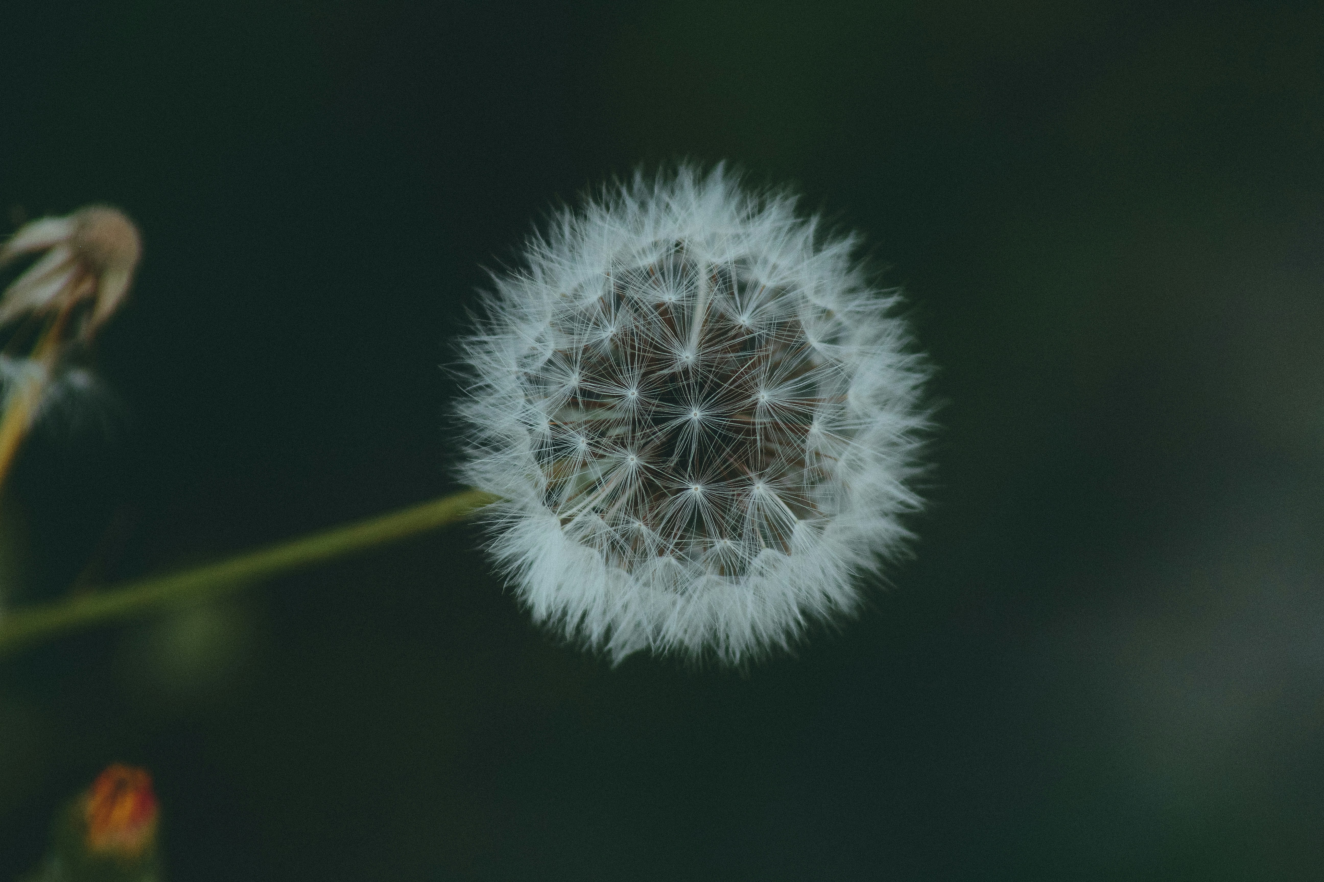 The Evolution of Clean-Beauty Serums in 2026 — Top 10 Picks and Why They Matter Now