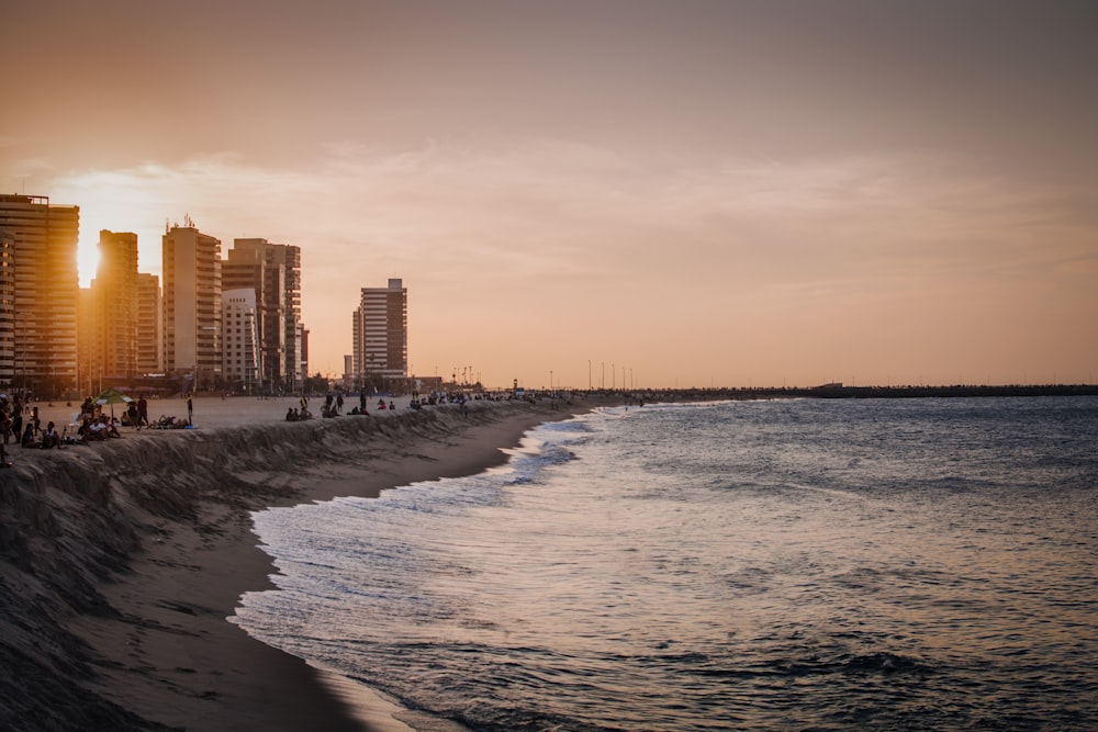 people on beach during daytime